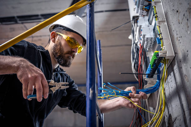 Best Electric Panel Repair  in Lakemoor, IL
